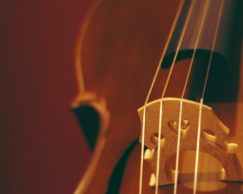 Kultúraszervező csoport