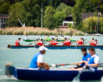 Testnevelés és Sport Intézet