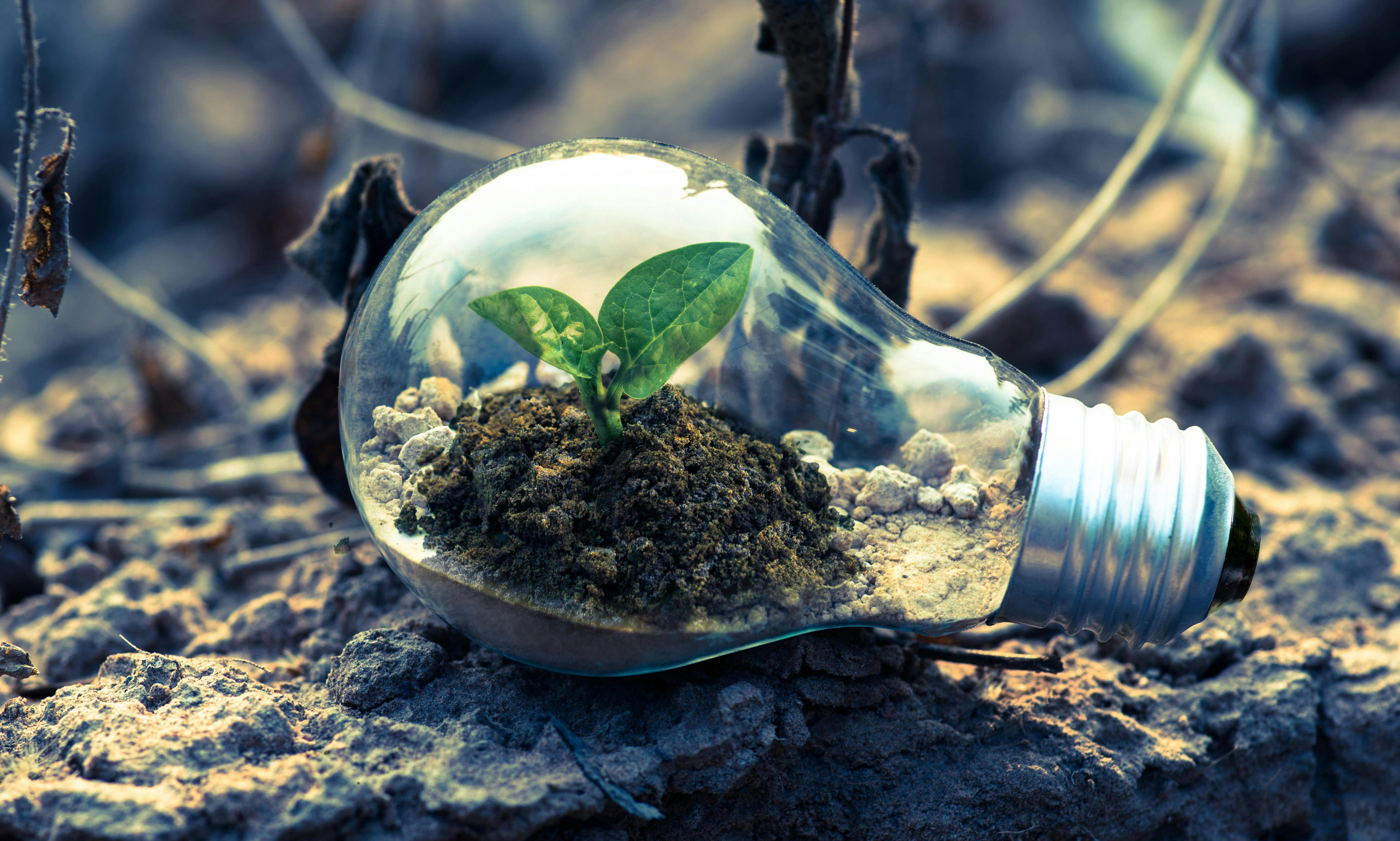 Ingyenes fenntarthatósági fórum 